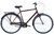 Велосипед ST 28" Dorozhnik COMFORT MALE Velosteel рама-22" зеленый 2024 крылья, крыло пер., крыло зад., подножка, звонок OPS-D-28-373 фото